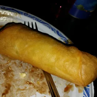 Biggest spring roll I've ever seen!