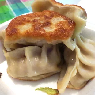 Pot stickers!
