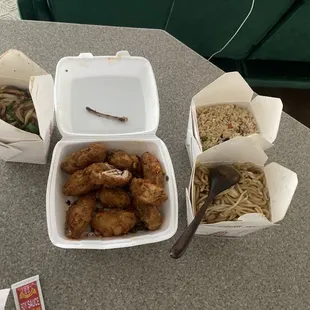 Chicken chow mein pork fried rice, salt and pepper chicken wings, and green onion beef.