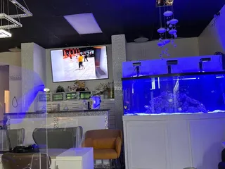 Q Nails Lounge