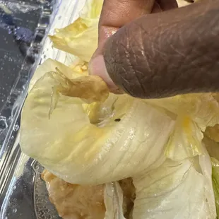 Brown slimy edges on lettuce.