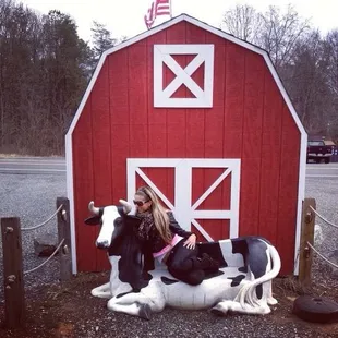 a woman sitting on a cow