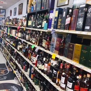 shelves full of liquor