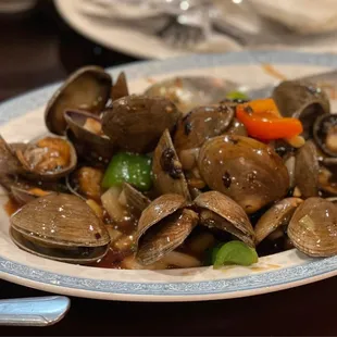 Sauteed Clam with Black Bean Sauce - IG: @nelson_eats