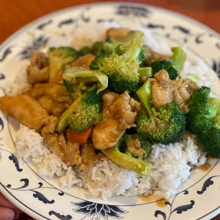 Broccoli Chicken rice plate