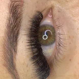 Volume lashes