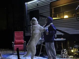 Bill Monroe Music Park & Campground