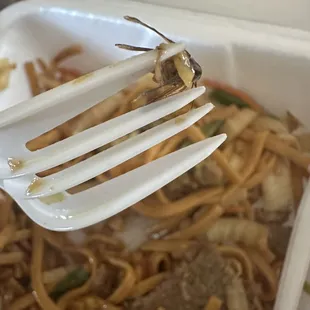 a fork holding a piece of food