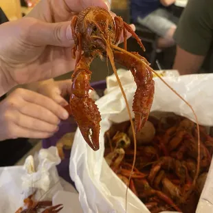 Crawfish