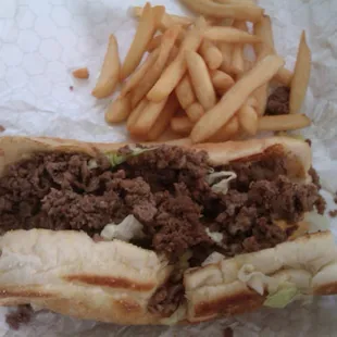 Daily Special: Cheesesteak/Fries/Drink.  This is only about 1/3 of the fries they give you.
