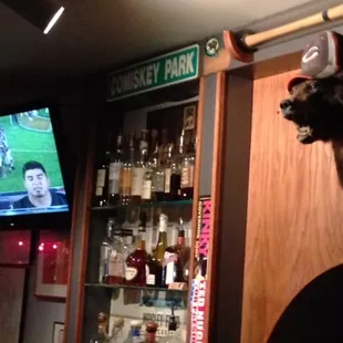 a bear head mounted on the wall of a bar