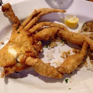 Soft Shell Crab