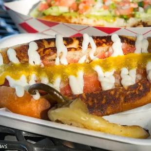 Sonora Dog