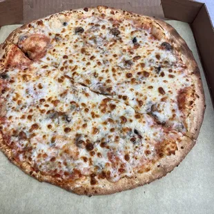 cheese pizza with mushroom.