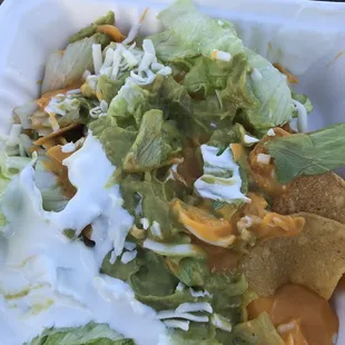 Vegetarian nachos.  stale chips, bland guacamole and odd tasting sour cream! Thumbs down