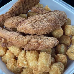 Chicken Tender and Tater Tots