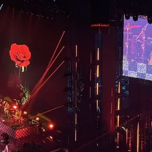 Gwen Stefani!!!