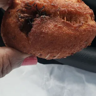 Close up view of the tiny devil crab