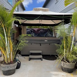 Bullfrog spa