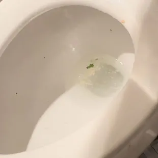 boyfriend puking. He was complaining ugh it's the fish ugh go away. I said to leave it for a picture on account my new found hobby