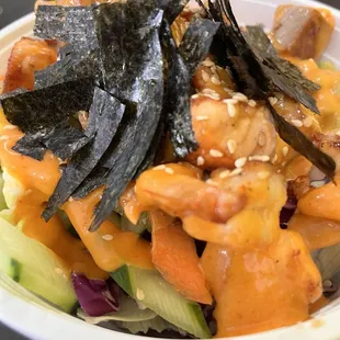 Large Large T-OP Poke Bowl