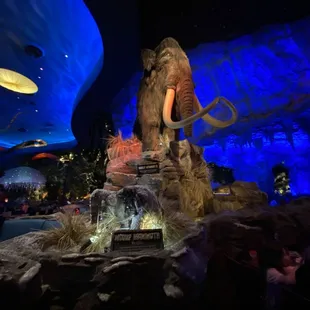 Beautiful Dino scenery