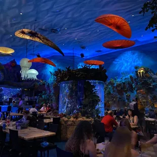 A look and date under the ocean area