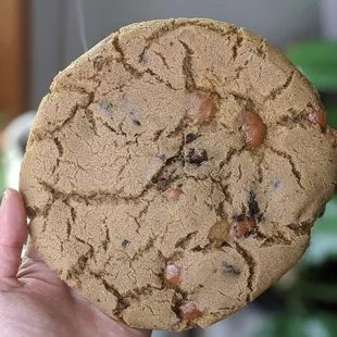 Oreo cookie! My favorite.