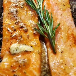 SALMON