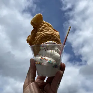 Taiyaki Icecream