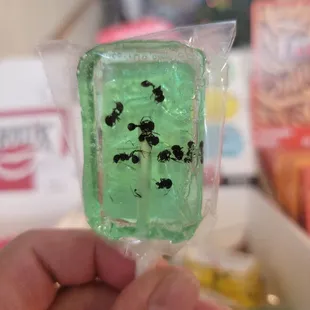 Ants