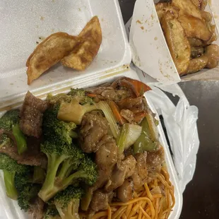 Potstickers, beef broccoli, black pepper chicken, potato chicken, and noodles