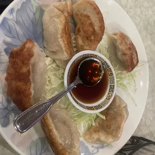 Pot Stickers