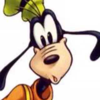 Terry M.