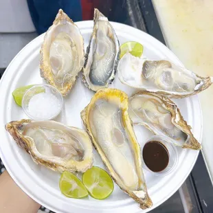 Oyster