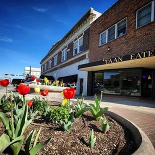 tulips in front of the taan eatery