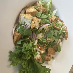 Larb salad with tofu, mushrooms, fresh cilantro &amp; red onions