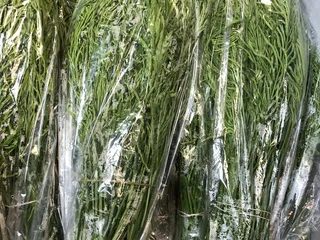 Krungthai Grocery