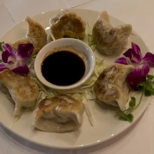 Pot Stickers