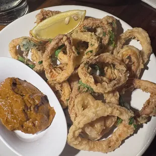 Fried Calamari