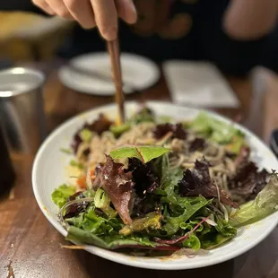 Gyu Shabu Soba Salad
