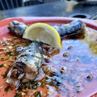 Grilled sardines