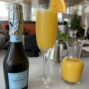 Mimosa