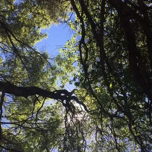 up up &amp; away