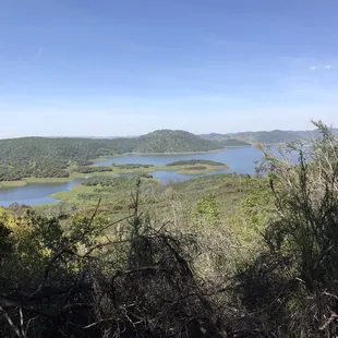 the view