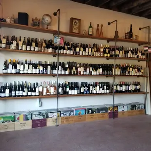 Table Wine - wall of wines