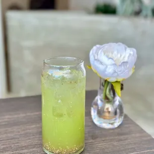 Cucumber Chia Seed Limeade