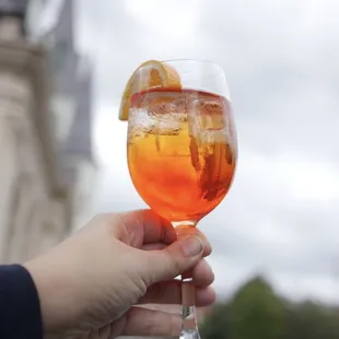 a person holding a glass of wine