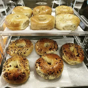 Sammy's Bagels are the best in Columbus