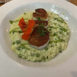 Scallop Risotto